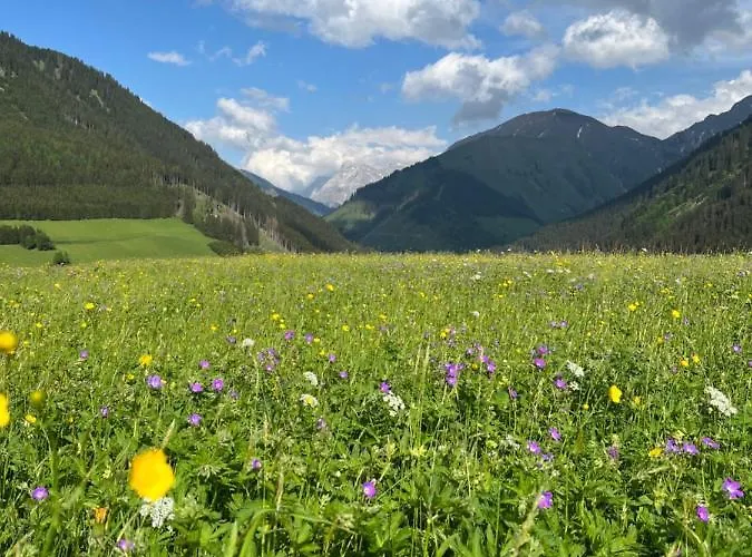 Chalet Mountain R Berwang