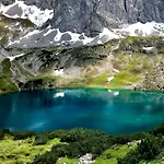 Mountain R 샬레 *