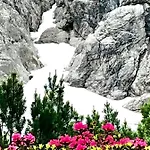 샬레 Mountain R 베르왕