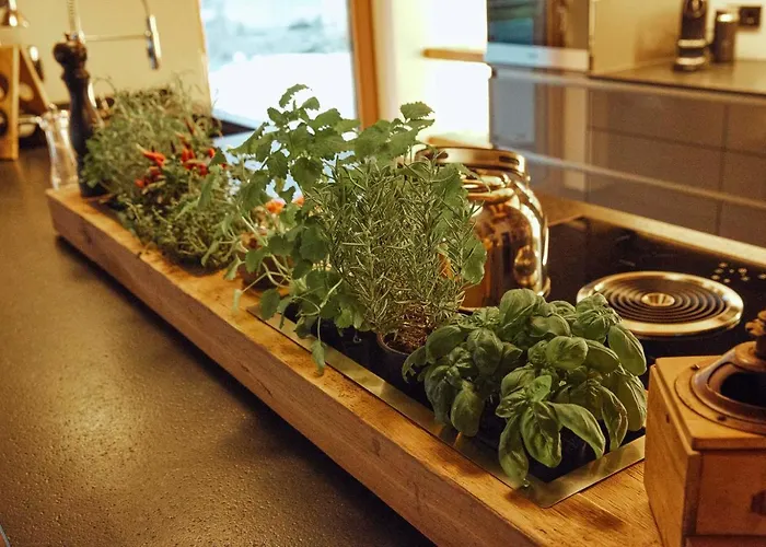 Mountain R בקתה *