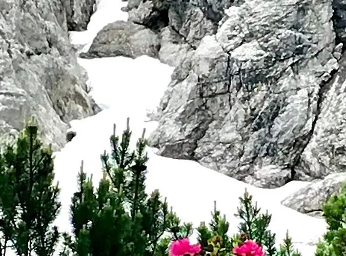 בקתה Mountain R ברוואנג