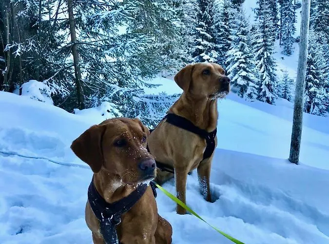 Mountain R בקתה ברוואנג