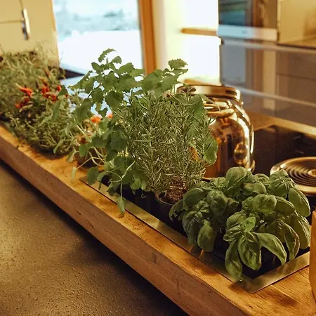 Mountain R シャレー *