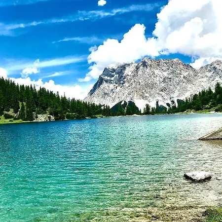 シャレー Mountain R バーワング