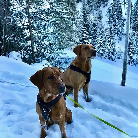 Mountain R シャレー バーワング